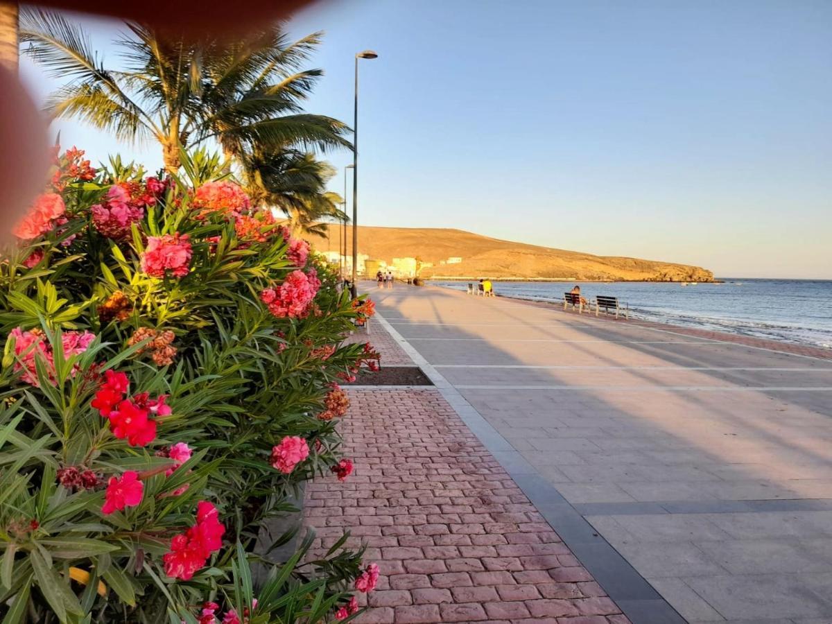 Casa De Cactus Daire Tarajalejo Dış mekan fotoğraf